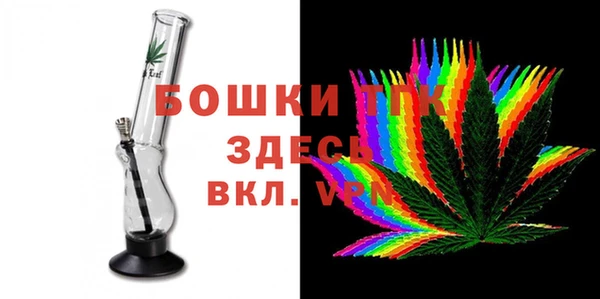 индика Алексеевка
