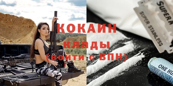 индика Алексеевка