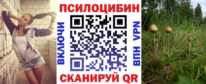 Галлюциногенные грибы ЛСД  мега маркетплейс  Шуя 